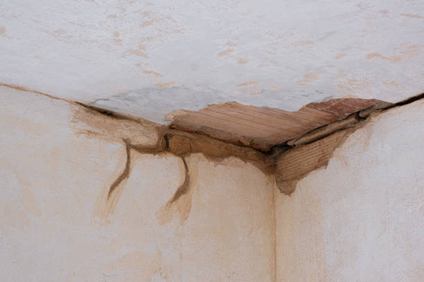 Best Mold removal after water damage  in Shell Kno, MO