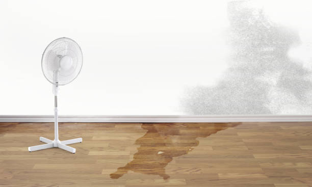 Reliable Shell Kno, MO Water damage restoration Solutions