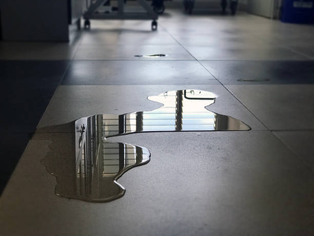 Best Water damage cleanup near me  in Shell Kno, MO