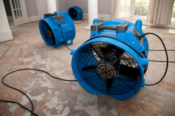 Best Water damage repair service  in Shell Kno, MO
