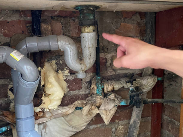 Best Water damage restoration near me  in Shell Kno, MO
