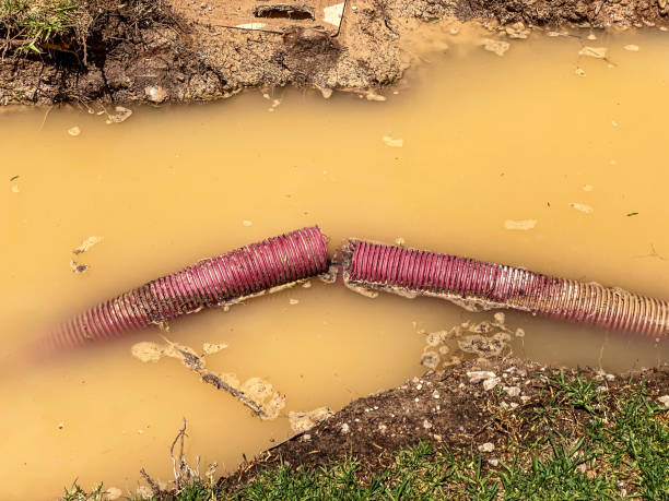 Best 24/7 water damage repair  in Shell Kno, MO